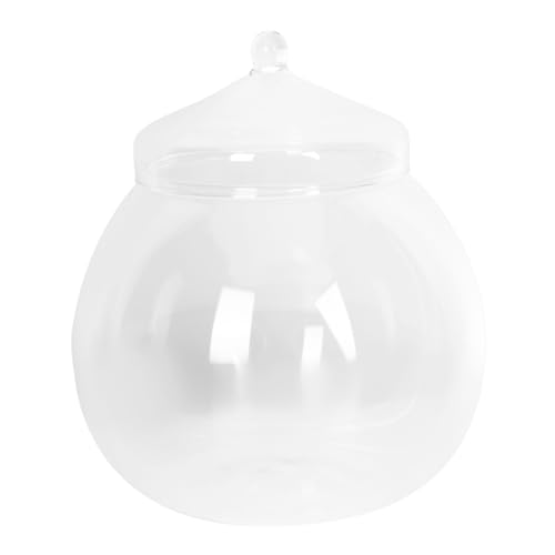 SOIMISS Mikro Landschafts Ökoflasche mit Deckel DIY Moos Terrarium Glasflasche Glatte Oberfläche Handfreundlich Kreative Pflanzendekoration für Innenräume Nachhaltige Pflanzengestaltung von SOIMISS