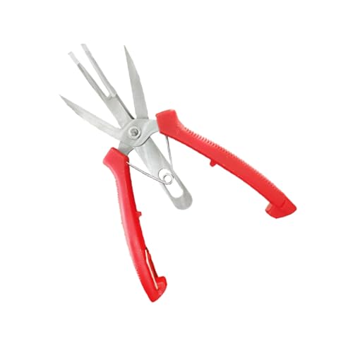 SOIMISS Oberschärfe Gartenschere aus Edelstahl Doppelte Mundschere für Obst und Gemüse Ergonomisch Beidseitig Nutzbar Rostfrei Vielseitig für Garten Obstbäume und Pflanzenpflege SOIMISS Oberschärfe Gartenschere aus Edelstahl Doppelte Mundschere für Obst und Gemüse Ergonomisch Beidseitig Nutzbar Rostfrei Vielseitig für Garten Obstbäume und Pflanzenpflege von SOIMISS