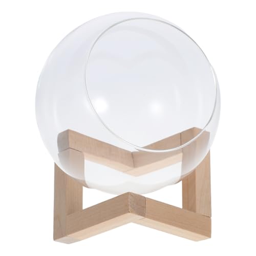 SOIMISS Rundes Glas Terrarium mit Holzständer Transparentes Pflanzgefäß Geneigte Öffnung für Einfache Pflege für Sukkulenten und Hydroponik Dekorative Tischpflanze für Büro und Zuhause SOIMISS Rundes Glas Terrarium mit Holzständer Transparentes Pflanzgefäß Geneigte Öffnung für Einfache Pflege für Sukkulenten und Hydroponik Dekorative Tischpflanze für Büro und Zuhause von SOIMISS