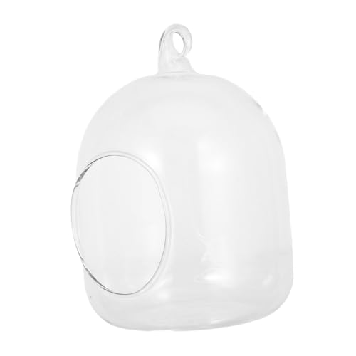 SOIMISS Terrarium Mini Pflanzflasche Pflegeleichtes DIY Hydroponik Luftpflanzen Terrarium Langlebige Glasvase für Büro und Wohnraumdekoration von SOIMISS