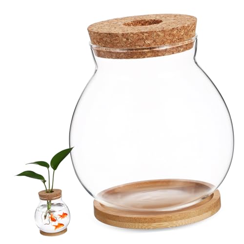 SOIMISS Transparenter Glas Betta Fisch Tank Mittelgroß Hydroponisches Pflanzen Terrarium mit Holzdeckel und Bambusmatte für Schreibtisch Büro Wohnzimmer von SOIMISS