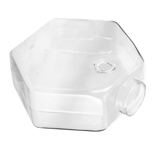 SOIMISS Wanddekor Mit Blumenvase Zur Wandmontage Transparente Hängende Glasvase Für Pflanzen Wandpflanzer Für Hydrokultur Minimalistischer Wandblumenhalter Für Zuhause Und Büro von SOIMISS