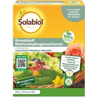 Grundstoff Natriumhydrogencarbonat - 350 g - Solabiol Grundstoff Natriumhydrogencarbonat - 350 g - Solabiol von SOLABIOL