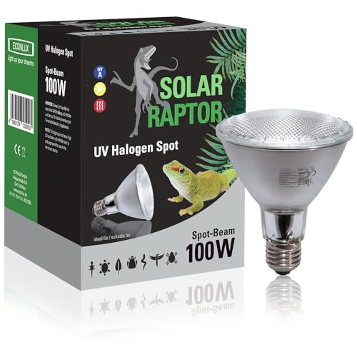 SOLAR RAPTOR UV Halogen Spot 100 Watt, Reptilien Wärmelampe, Terrarium Lampe mit Tageslichtspektrum… von SOLAR RAPTOR