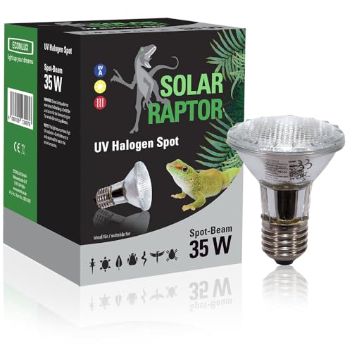 SOLAR RAPTOR UV Halogen Spot 35 Watt, Reptilien Wärmelampe, Terrarium Lampe mit Tageslichtspektrum… von SOLAR RAPTOR