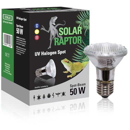 SOLAR RAPTOR UV Halogen Spot 50 Watt, Reptilien Wärmelampe, Terrarium Lampe mit Tageslichtspektrum… von SOLAR RAPTOR