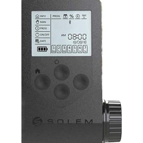 SOLEM 900201B Programmierer WOO-Bee 1, schwarz von SOLEM