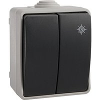 Wirtschaftlicher doppelter wasserdichter Schalter Schrumpfverpacktes edm IP44 R64037 von SOLERA