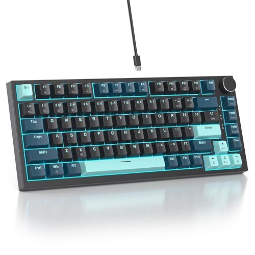 SOLIDEE Verkabelte 75% Mechanische Gaming-Tastatur,hot-swap-fähige Mechanische Tastatur mit Gasket Struktur,RGB-Hintergrundbeleuchtung,82 Tasten Kompakt TKL Tastatur mit Drehknopf(82 Monstor(B)) von SOLIDEE