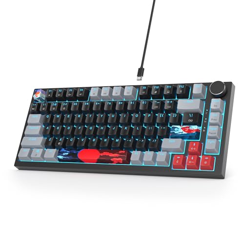 SOLIDEE Verkabelte Mechanische Gaming Tastatur 75%,hot-swap-fähige mechanische Tastatur Gasket Struktur,RGB Hintergrundbeleuchtung,QWERTY 82 Tasten TKL Gaming Tastatur mit Drehknopf(82 Dark) von SOLIDEE
