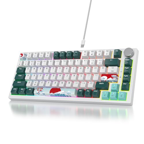 SOLIDEE Verkabelte Mechanische Gaming Tastatur 75%,hot-swap-fähige mechanische Tastatur Gasket Struktur,RGB Hintergrundbeleuchtung,QWERTY 82 Tasten TKL Gaming Tastatur mit Drehknopf(82 Forest) von SOLIDEE