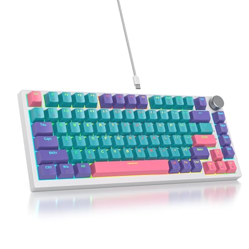 SOLIDEE Verkabelte Mechanische Gaming Tastatur 75%,hot-swap-fähige mechanische Tastatur Gasket,RGB Hintergrundbeleuchtung,QWERTY 82 Tasten TKL Gaming Tastatur,NKRO Tastatur mit Drehknopf(82 Joker) von SOLIDEE