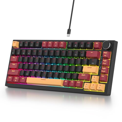 SOLIDEE Verkabelte Mechanische Gaming Tastatur 75%,hot-swap-fähige mechanische Tastatur Gasket,RGB Hintergrundbeleuchtung,QWERTY 82 Tasten TKL Gaming Tastatur mit Drehknopf(82 Red Samurai(B)) von SOLIDEE