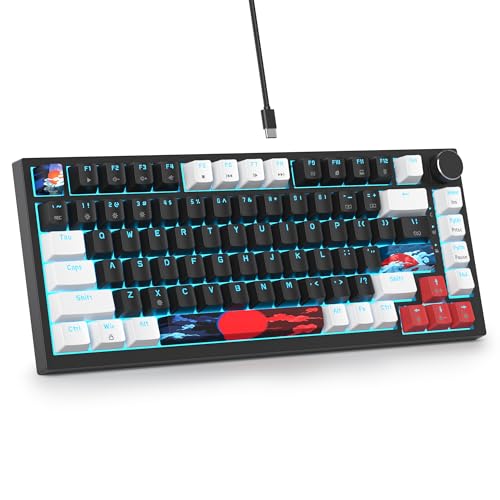 SOLIDEE Verkabelte Mechanische Gaming Tastatur,hot-swap-fähige mechanische Tastatur Gasket Struktur,RGB Hintergrundbeleuchtung,QWERTY 82 Tasten TKL Gaming Tastatur mit Drehknopf(82 White_Black) von SOLIDEE