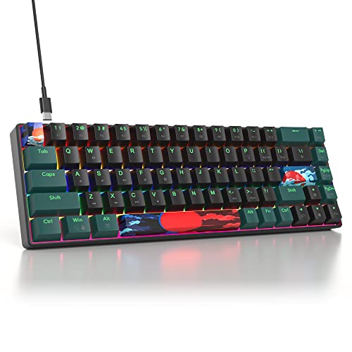SOLIDEE mechanische Gaming Tastatur 65%,68 Tasten mit Lineare rote Schalter,kabelgebundene mechanische Tastatur mit LED-Hintergrundbeleuchtung,gemischtes Licht kompakte(68 Black-Green) von SOLIDEE