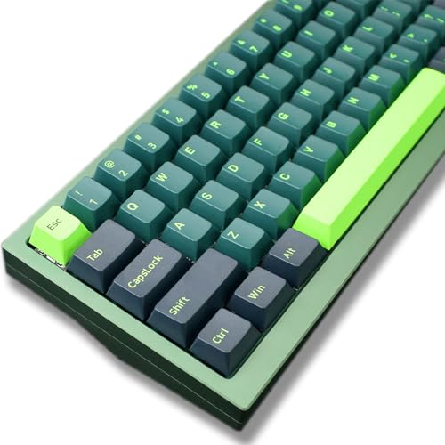 SOLIDEE Nur Tastenkappen für mechanische Tastatur,166 Tastenkappen-Set,Cherry-Profil,Double Shot Tastenkappen,benutzerdefinierte Tastenkappen für Cherry MX Switch-Tastaturen US-Layouts(Soundwave) von SOLIDEE