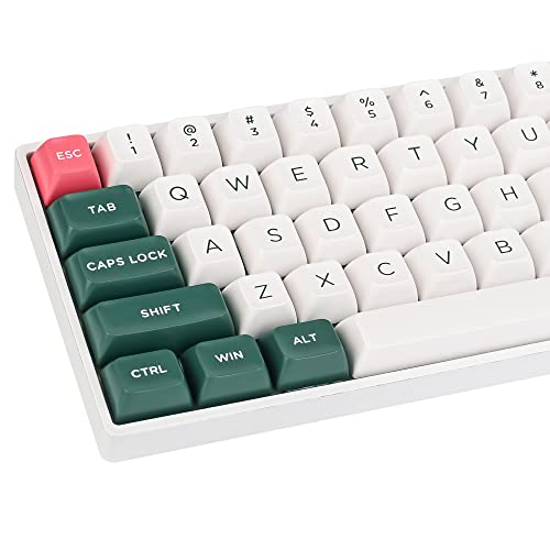 SOLIDEE 150 Tastenkappen ASA Profil Double Shot Full Key Caps Set ANSI Layout für mechanischen Tastaturaustausch Kompatibel mit MX-Clone Switches(Pine Forest) von SOLIDEE