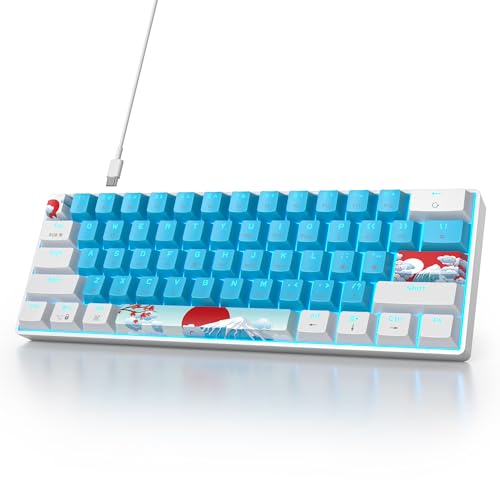 SOLIDEE mechanische Gaming Tastatur 60 Prozent,61 Tasten kompakte mechanische Tastatur RGB Hintergrundbeleuchtung,60% Prozent Tastatur mechanisch QWERTY,Roter Schalter für Win/Mac PC Laptop(61 Blue) von SOLIDEE
