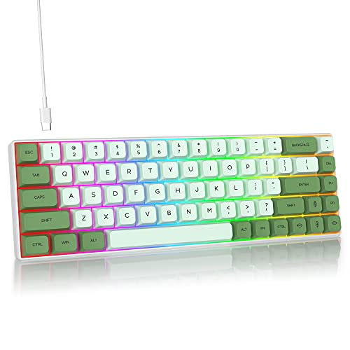 SOLIDEE Mechanische Gaming Tastatur 65% - 68 Tasten Kompakt, RGB Hintergrundbeleuchtung, QWERTY, Roter Schalter für Win/Mac PC Laptop (68 Matcha) von SOLIDEE