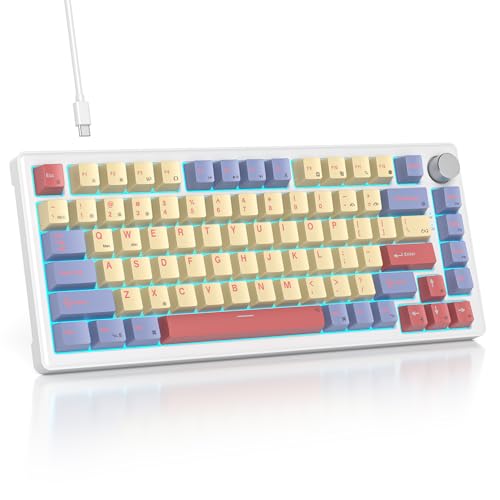 SOLIDEE Verkabelte Mechanische Gaming Tastatur 75 Prozent,hot-swap-fähige Mechanische Tastatur mit Gasket Struktur,RGB Hintergrundbeleuchtung,82 Tasten TKL Tastatur mit Drehknopf(82 Marshmallow) von SOLIDEE