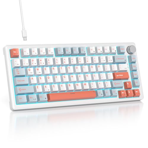 SOLIDEE Verkabelte Mechanische Gaming Tastatur 75 Prozent,hot-swap-fähige Mechanische Tastatur mit Gasket Struktur,RGB Hintergrundbeleuchtung,82 Tasten TKL Tastatur mit Drehknopf(82 Salmon) von SOLIDEE