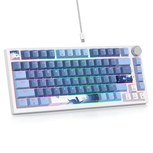 SOLIDEE Verkabelte Mechanische Gaming Tastatur 75 Prozent,hot-swap-fähige Mechanische Tastatur mit Gasket Struktur,RGB Hintergrundbeleuchtung,82 Tasten TKL Tastatur mit Drehknopf(82 Sea Blue) von SOLIDEE