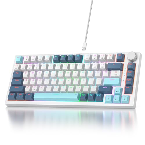 SOLIDEE Verkabelte Mechanische Gaming Tastatur 75 Prozent,hot-swap-fähige Mechanische Tastatur mit Gasket Struktur,RGB Hintergrundbeleuchtung,82 Tasten TKL mit Drehknopf(82 Shoko) von SOLIDEE