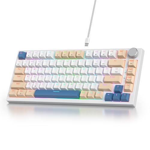 SOLIDEE Verkabelte Mechanische Gaming Tastatur 75 Prozent,hot-swap-fähige Mechanische Tastatur mit Gasket Struktur,RGB Hintergrundbeleuchtung,82 Tasten TKL Tastatur mit Drehknopf(82 Soy Milk) von SOLIDEE