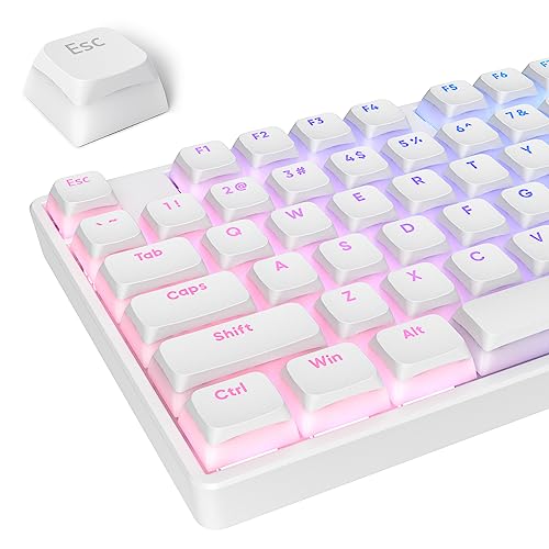 SOLIDEE White Pudding Tastenkappen,Double Shot PBT-Tastenkappen mit durchscheinender Schicht,117 Tasten XDA Profile Keycaps,für ISO&ANSI 61/68/84/87/104 Tasten mechanische Tastatur(White Pudding) SOLIDEE White Pudding Tastenkappen,Double Shot PBT-Tastenkappen mit durchscheinender Schicht,117 Tasten XDA Profile Keycaps,für ISO&ANSI 61/68/84/87/104 Tasten mechanische Tastatur(White Pudding) von SOLIDEE