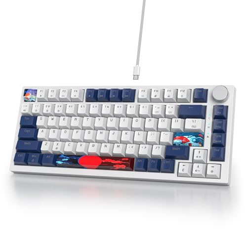SOLIDEE Verkabelte 75% Mechanische Gaming-Tastatur,hot-swap-fähige Mechanische Tastatur mit Gasket Struktur,RGB-Hintergrundbeleuchtung,82 Tasten Kompakt TKL mit Drehknopf(82 Blue White) von SOLIDEE