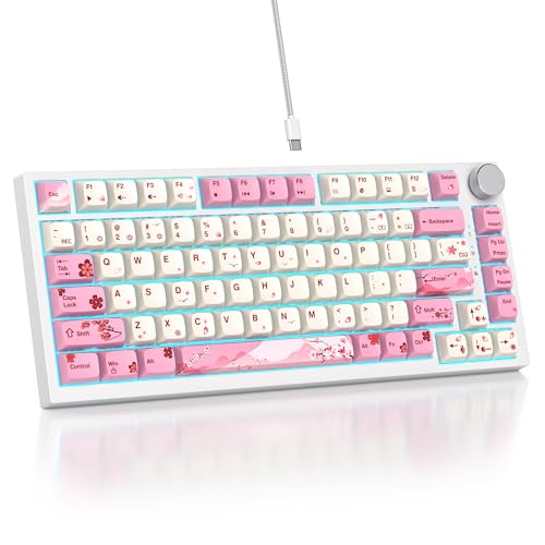 SOLIDEE Verkabelte 75% Mechanische Gaming-Tastatur,hot-swap-fähige Mechanische Tastatur mit Gasket Struktur,RGB-Hintergrundbeleuchtung,82 Tasten Kompakt TKL Tastatur mit Drehknopf(82 Flower) von SOLIDEE