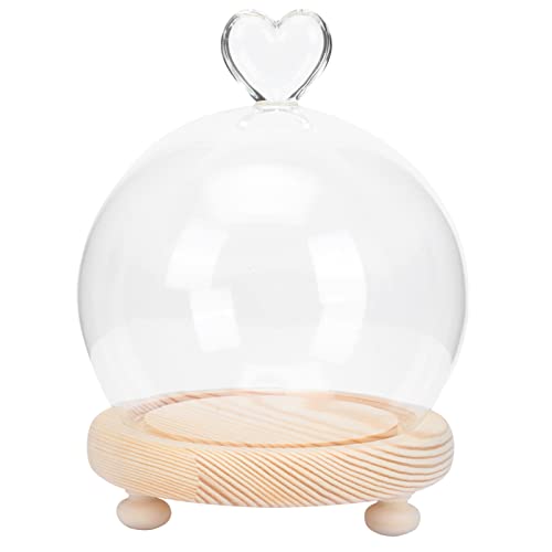 Glasglocke Glashaube Glassturz mit Sockel: Lampenschirm Rose Pflanzen Glaskuppel mit Holzboden Glas Kuchenglocke Sukkulenten Miniatur Lichterkette Glocke Wohnzimmer Tischdeko Valentinstag Deko Glasglocke Glashaube Glassturz mit Sockel: Lampenschirm Rose Pflanzen Glaskuppel mit Holzboden Glas Kuchenglocke Sukkulenten Miniatur Lichterkette Glocke Wohnzimmer Tischdeko Valentinstag Deko von SOLUSTRE