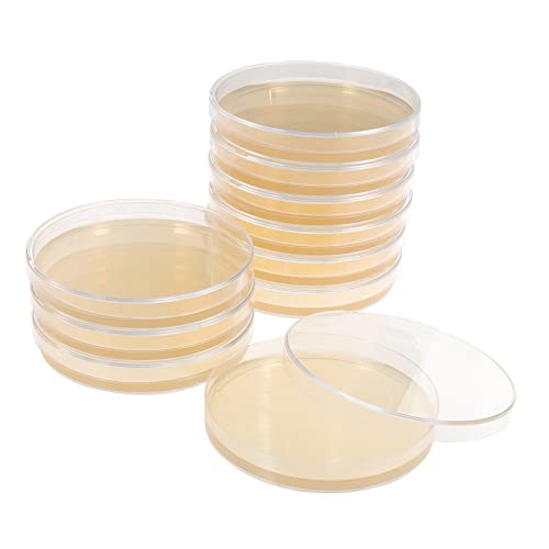 SOLUSTRE 10st Nähragarplatte Plastikpflanzen Zellkulturplatte Teller -agarplatten Agar-petri-behälter Agarplatten Für Experimente Petrischale Aus Glas Laborbedarf Mit Deckel Kolumbien von SOLUSTRE