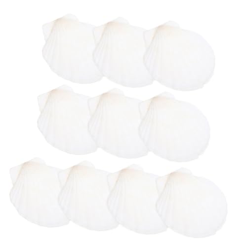 SOLUSTRE 10 Stück Teiliges Natur Deko Set Weiß Gekalkte DIY Bastelmaterialien für Aquarium Partydeko Kreative Handwerksprojekte Natürliche Muschelschalen Ornamente SOLUSTRE 10 Stück Teiliges Natur Deko Set Weiß Gekalkte DIY Bastelmaterialien für Aquarium Partydeko Kreative Handwerksprojekte Natürliche Muschelschalen Ornamente von SOLUSTRE
