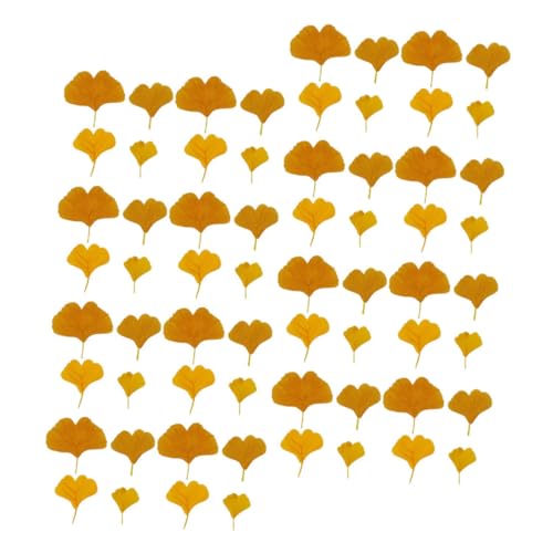 SOLUSTRE 108 Stück Teiliges Ginkgo Deko aus Langlebigem Seidenstoff Verblassungsresistent Natürliche Herbstdekoration für und Feier Vielseitig Verwendbar als Tisch und Wanddeko SOLUSTRE 108 Stück Teiliges Ginkgo Deko aus Langlebigem Seidenstoff Verblassungsresistent Natürliche Herbstdekoration für und Feier Vielseitig Verwendbar als Tisch und Wanddeko von SOLUSTRE