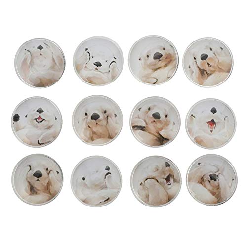 SOLUSTRE 12 Stück Kühlschrankmagnete Otter Mosaik Glas Cabochons Edelstein Tier Tier Magnetische Aufkleber Dekoration Nachricht Post für zu Hause Kühlschrank von SOLUSTRE