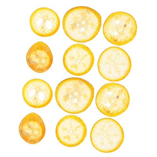 SOLUSTRE 12 Stück Teiliges Getrocknetes Gepresstes Kumquatscheiben für DIY Handwerk für Resin Scrapbooking Handyhüllen Grußkarten und Nagelkunst Natürliche Orangenscheiben zur Kreativen von SOLUSTRE