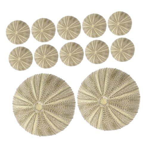 SOLUSTRE 18stücke Natürliche Seeigelmuscheln Für -handwerksbedarf Vase Füllmaterial Aquarien Dekoration Kunstvolle Und Einzigartige Seeigelornamente SOLUSTRE 18stücke Natürliche Seeigelmuscheln Für -handwerksbedarf Vase Füllmaterial Aquarien Dekoration Kunstvolle Und Einzigartige Seeigelornamente von SOLUSTRE