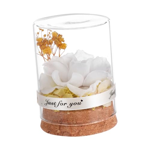 SOLUSTRE 1Stück Ewige Glasglocke Kreative Unsterbliche Blumendekoration für Valentinstag Muttertag und Besondere Anlässe Geschenkbox für und Freunde von SOLUSTRE