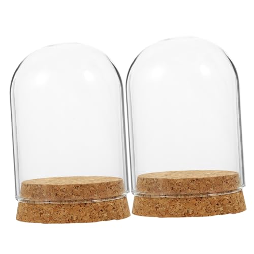 SOLUSTRE 2 Sätze Glasglocken mit Korksockel Dekorative Abdeckung für Konservierte Blumen Vintage Tischdeko für Hochzeiten Büro und DIY Handwerksprojekte von SOLUSTRE