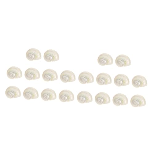 SOLUSTRE 2 Sätze Muschel-einsiedlerkrebs-Schale Dekorationen Hülse Muschelschalen Muschel-Ornament-Muschel Tank Natur-Muschel- Aquariumschale Weiß 10 Stück * 2 SOLUSTRE 2 Sätze Muschel-einsiedlerkrebs-Schale Dekorationen Hülse Muschelschalen Muschel-Ornament-Muschel Tank Natur-Muschel- Aquariumschale Weiß 10 Stück * 2 von SOLUSTRE