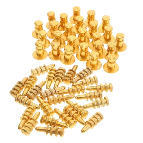 SOLUSTRE 24Er Set Hardware Möbel Regalträger Halterung Regalhalterungen Möbelbeschläge Regalträger Stifte Stifte Möbelverbinder Bücherregal Hardware Halterung Hardware Goldene von SOLUSTRE