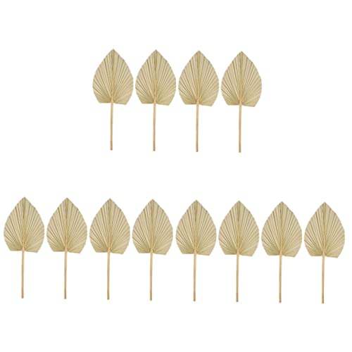 SOLUSTRE 3 Sätze Dekoration Aus Palmblättern Kernstück Laub Topper Anordnung Getrocknet Tiki Decoratiuni Craciun Wandverkleidung Party Hängend Schmücken Panzerblattpalme Hölzern 4 Stück * 3 SOLUSTRE 3 Sätze Dekoration Aus Palmblättern Kernstück Laub Topper Anordnung Getrocknet Tiki Decoratiuni Craciun Wandverkleidung Party Hängend Schmücken Panzerblattpalme Hölzern 4 Stück * 3 von SOLUSTRE