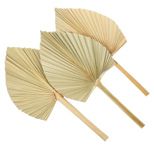 SOLUSTRE 3 Stück Getrocknete Palmwedel Deko Natürliche Palmblatt fächer Wandkunst für Party Tischdeko Hochzeit Fensterdekorations Accessoire von SOLUSTRE