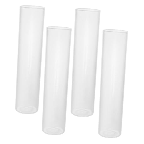 SOLUSTRE 4stücke Glas Pflanzenvasen Für Hydrokultur Reagenzgläser Für Pflanzen Durchsichtiges Blumenröhrchen Als Dekoration Für Zuhause Und Büro Vasenglas Für Frische Blumen SOLUSTRE 4stücke Glas Pflanzenvasen Für Hydrokultur Reagenzgläser Für Pflanzen Durchsichtiges Blumenröhrchen Als Dekoration Für Zuhause Und Büro Vasenglas Für Frische Blumen von SOLUSTRE