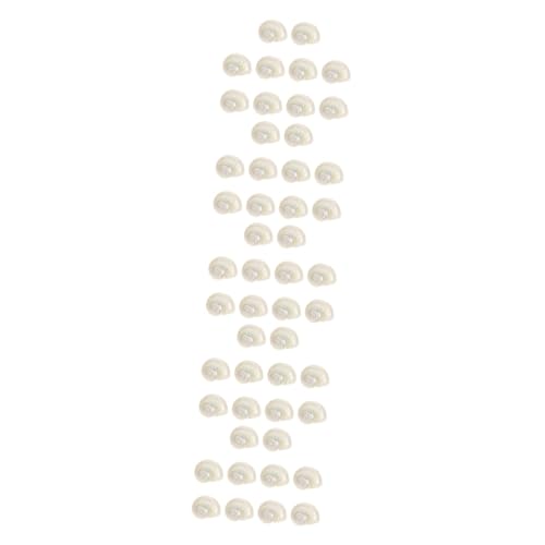 SOLUSTRE 5 Sätze Muschel-einsiedlerkrebs-Schale Muschelmaterialien Muschelschalen Hülse Dekorationen Natur-Muschel- Muschelmaterial Zum Selbermachen Weiß 10 Stück * 5 SOLUSTRE 5 Sätze Muschel-einsiedlerkrebs-Schale Muschelmaterialien Muschelschalen Hülse Dekorationen Natur-Muschel- Muschelmaterial Zum Selbermachen Weiß 10 Stück * 5 von SOLUSTRE