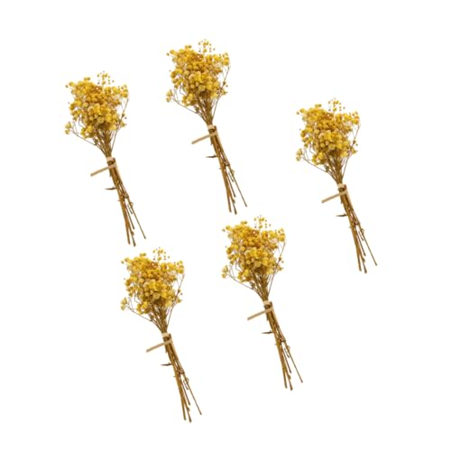 SOLUSTRE 5 Stück Teiliges Trockenblumenstrauß aus Langlebiger Babysbreath Gypsophila Leicht und Tragbar als Geschenkbox Dekoration Hochzeitsdeko und Fotorequisite für Natürliche von SOLUSTRE