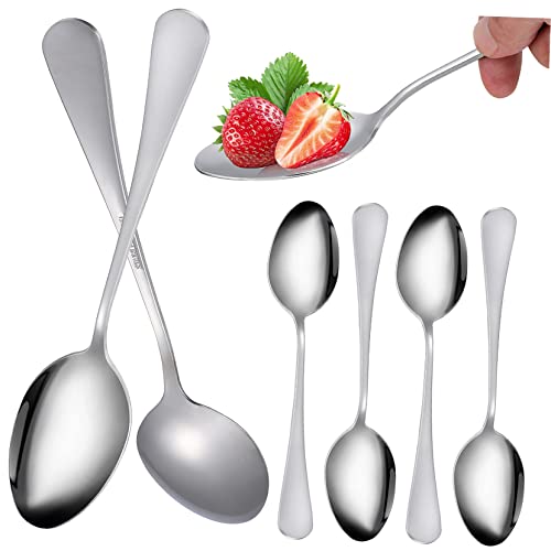 SOLUSTRE 6 Stück Teiliges Besteck Servierlöffel mit Ergonomischem Design Rostfrei Leicht und Vielseitig für Haushalt Camping Picknick und Festliche Anlässe von SOLUSTRE