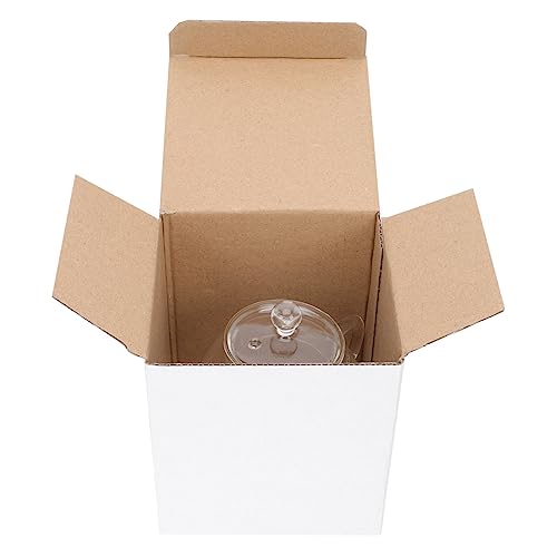 SOLUSTRE Mini aus Hitzebeständigem Borosilikatglas mit Kreativem Griff Japanischer Stil Explotionssicher Geeignet für Hausgebrauch und Teeliebhaber von SOLUSTRE