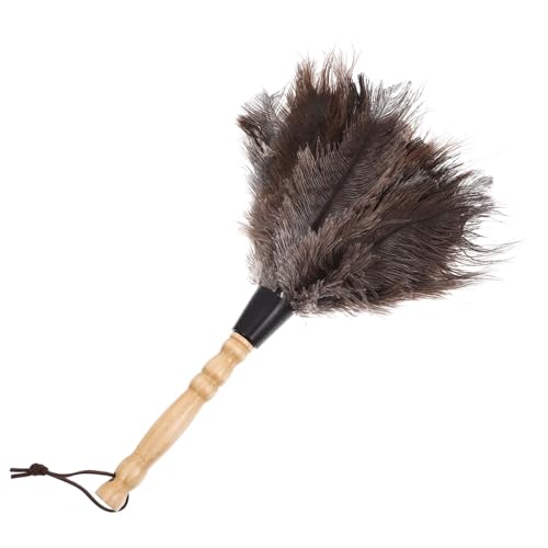 SOLUSTRE Ostrich Duster Schreibtisch Staubwedel Staubreiniger flauschiger Staubwedel Staubtücher zum Reinigen Auto Duster Blinds Duster Staubstab Holz SOLUSTRE Ostrich Duster Schreibtisch Staubwedel Staubreiniger flauschiger Staubwedel Staubtücher zum Reinigen Auto Duster Blinds Duster Staubstab Holz von SOLUSTRE